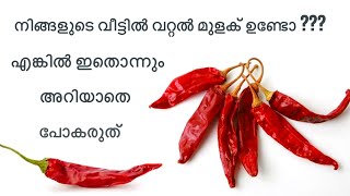 വറ്റൽ മുളക് കൊണ്ടുള്ള ഈ സൂത്രങ്ങൾ അറിയാതെ പോകല്ലേ | dried red chilli hacks | dried chilli remedies