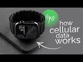 How Does Cellular Data Work on Apple Watch? (explained)