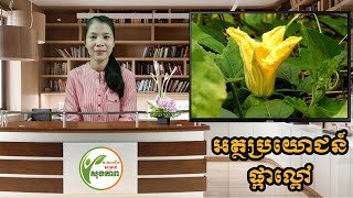 អត្ថប្រយោជន៍ផ្កាល្ពៅ | Benefits of Pumpkin Flower