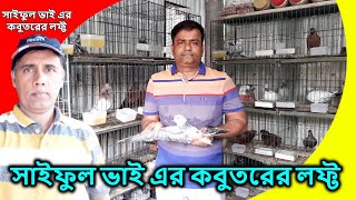 সাইফুল ভাই এর কবুতরের লফ্ট | siful pigeon loft | কবুতরের লফ্ট | pigeon loft | pigeon | PigeonsMarket