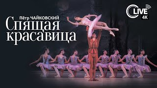 Пётр Ильич Чайковский «СПЯЩАЯ КРАСАВИЦА» - LIVE 4K