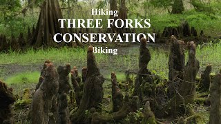 Cinematic Exploration | Three Forks Conservation | Biking \u0026 Hiking