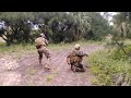 叢林戰自訓系列 1 生存遊戲 airsoft game【苗栗美國屋】