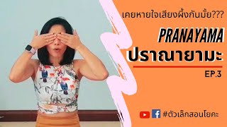 ปราณายามะ EP.3 เคยหายใจเสียงผึ้งกันมั้ย?? #Pranayama #ตัวเล็กสอนโยคะ #yoga #สมาธิ #โยคะพื้นฐาน