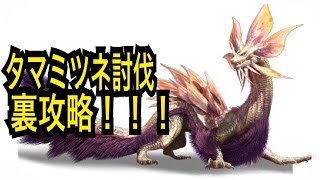 モンハン タマミツネの討伐 かっこ【驚愕】知らないと損をする攻略情報 モンスターハンタークロス 相互チャンネル登録