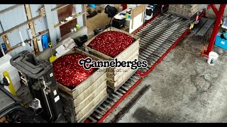 Canneberges centre du québec | Corpo par Princefilms