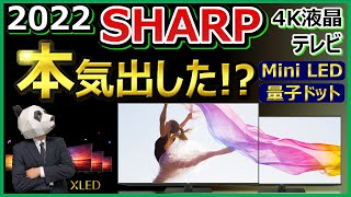 【シャープ 4K液晶テレビ 2022】ついに本気になった！？【MiniLED 量子ドット】