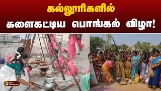 கல்லூரிகளில் களைகட்டிய பொங்கல் விழா! | Pongal Celebration