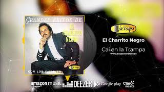 El Charrito Negro - Caí en la Trampa (Audio) #ElCharritoNegro