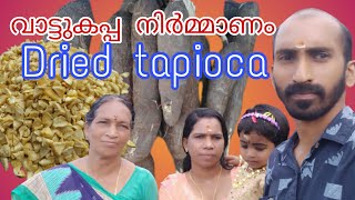 മണിക്കൂറുകൾ കൊണ്ട് പച്ച കപ്പ  വാട്ടുന്ന വിധം. | കപ്പ വാട്ടി ഉണങ്ങുന്ന വിധം | കപ്പ വാട്ട് |