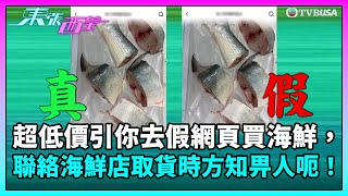 東張西望｜「超低價」引你去「假網頁」買海鮮，聯絡海鮮店取貨時方知畀人呃咗！｜TVBUSA｜民生