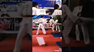 360 Taekwon-DO kicking padding work out session