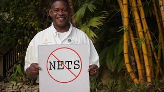Ban Gillnets in Belize