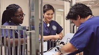 Uic Access To Excellence Research