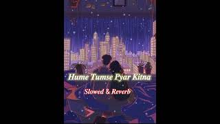 Hume Tumse Pyar Kitna - Female Version | Shreya Ghoshal | Slowed Reverb | Lofi Vibes