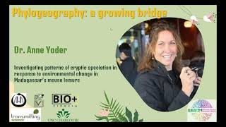 SBE meeting 2021's talks: Professor Anne Yoder, Ph.D.