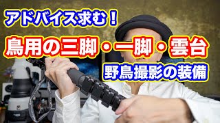 【アドバイス求む】野鳥撮影用の三脚・一脚・雲台のオススメ【飛びもの】