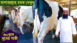 কাশেম ডেইরির চমক দেখুন ৩০প্লাস দুধের একাদিক গাভী নিতে পারেন dairy farm