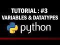 python tutorial for beginners #3: variables and datatype in python