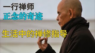 一行禅师 ：把禅修融入生活，正念带给你的奇迹，享受喜悦满足安详生活禅修两不误！ 【显密法缘】