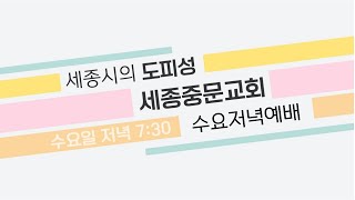 [수요저녁예배] 2024/09/25 | 장하나 목사 | 왕하 6:14-16