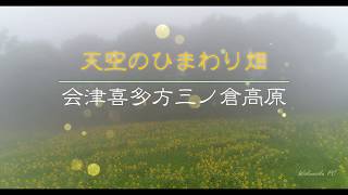 4K空撮　『天空のひまわり畑』2017喜多方市三ノ倉高原Phantom4 Pro+