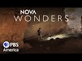 What are Animals Saying? FULL EPISODE | NOVA Wonders | PBS America