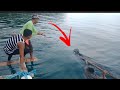 Amazing Manual Catching fish Using fishing hook