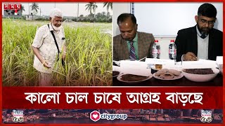 সব রোগের মহৌষধ কালো চাল! | Mymensingh | Black Rice Cultivation | Dr Md Solaiman Ali | Somoy TV