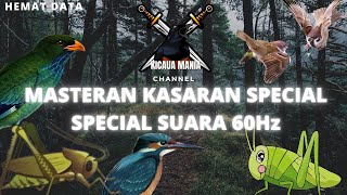 Masteran Burung Murai Batu WALANG KECEK - JANGKRIK - TENGKEK UDANG - GEREJA  TARUNG - TENGKEK BUTO