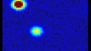 diffusion simulation