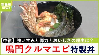 強い甘みと弾力「鳴門クルマエビ」で絶品丼づくり　鳴門海峡からの海水で育つクルマエビ...網の引き揚げを川地アナがお手伝い！【川地洋平の最旬！丼マン】【現場から生中継】（2024年11月1日）