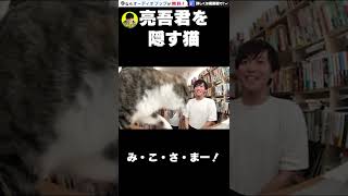 【主張激しめ】松丸亮吾を差し置いて主張する猫たん【DaiGo切り抜き】