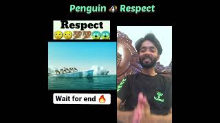 Penguin 🐧 Respect ✊ #short #reaction
