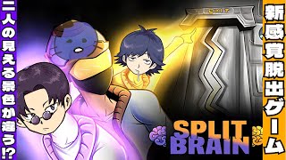 【Split Brain】1つの脳に2つの意識で謎を解き、脱出します