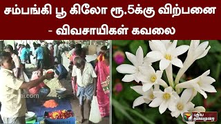 சம்பங்கி பூ கிலோ ரூ.5-க்கு விற்பனை -  விவசாயிகள் கவலை | Dindigul | PTT