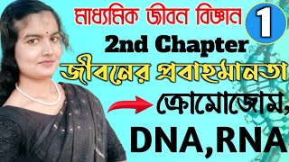 Part 1 | জীবনের প্রবাহমানতা | Class 10 Life Science Chapter 2 in Bengali | মাধ্যমিক জীবন বিজ্ঞান