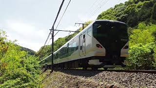 E257系5000番台 宮オオOM-91編成 特急踊り子59号 河津3号踏切〜稲梓駅2番線 通過