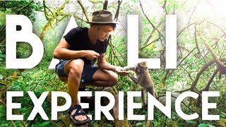 【Bali】現地でネコのう○ちで作るコーヒーを飲んでみた/ Kopi Luwak