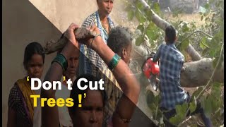 Locals In Odisha Clash With Police Protesting Cutting Of Trees | OTV News