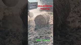 நெல் சாகுபடி| #விவசாயம் #farming #தீவனம் #paddy #viralshorts #machinery #வைக்கோல்