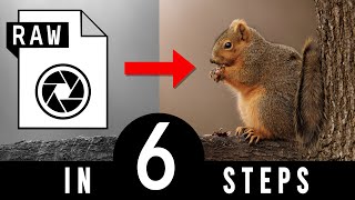 Wildlife & Bird Photo Editing 6 Step Raw Processing Workflow with Advanced Masking