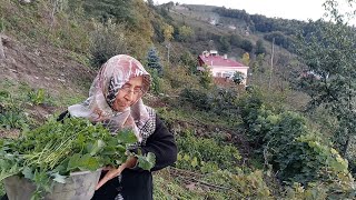 Doğadan Doğal Yenilebilir Karışık Yabani Ve Şifalı Otlar