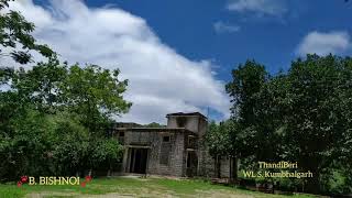 Thandi Beri kumbhalgarh national park