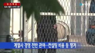 유병언 아들·딸 모두 잠적...장남 강제구인 / YTN