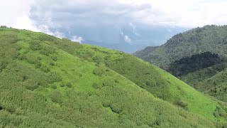 自然に恵まれた野生動物の宝庫、雲南省高黎貢山を訪ねて