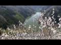 奈良の絶景・月ヶ瀬梅渓