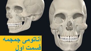 آموزش آناتومی به زبان فارسی - آناتومی جمجمه قسمت 1