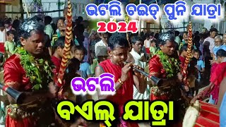 Bhatli (ବଏଲ ଯାତ୍ରା ) Bhatli Bail yatra 2024