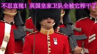 迷彩虎-不忍直视！英国皇家卫队全被它榨干了